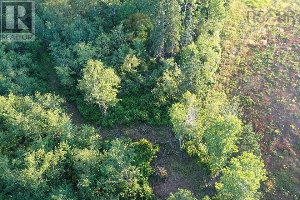 Ripley Road, Williamsdale, Nova Scotia  B0M 1E0 - Photo 12 - 202502056