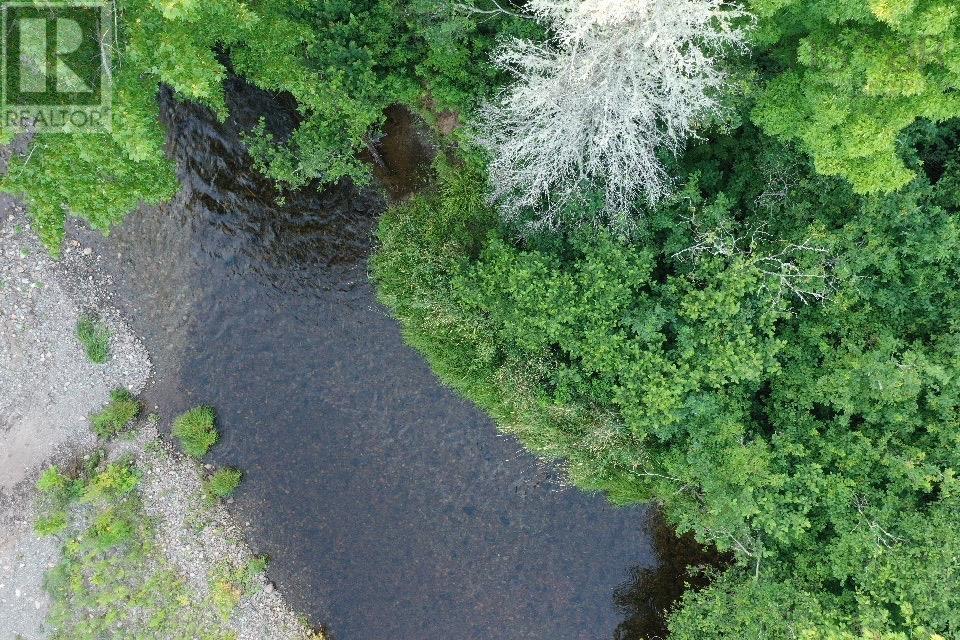 Ripley Road, Williamsdale, Nova Scotia  B0M 1E0 - Photo 13 - 202502056