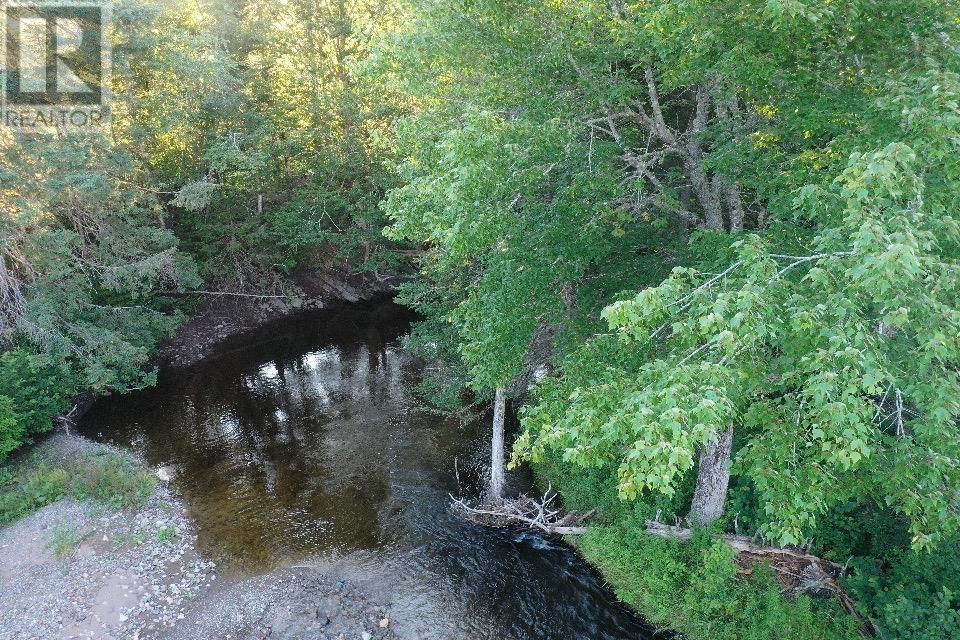 Ripley Road, Williamsdale, Nova Scotia  B0M 1E0 - Photo 14 - 202502056