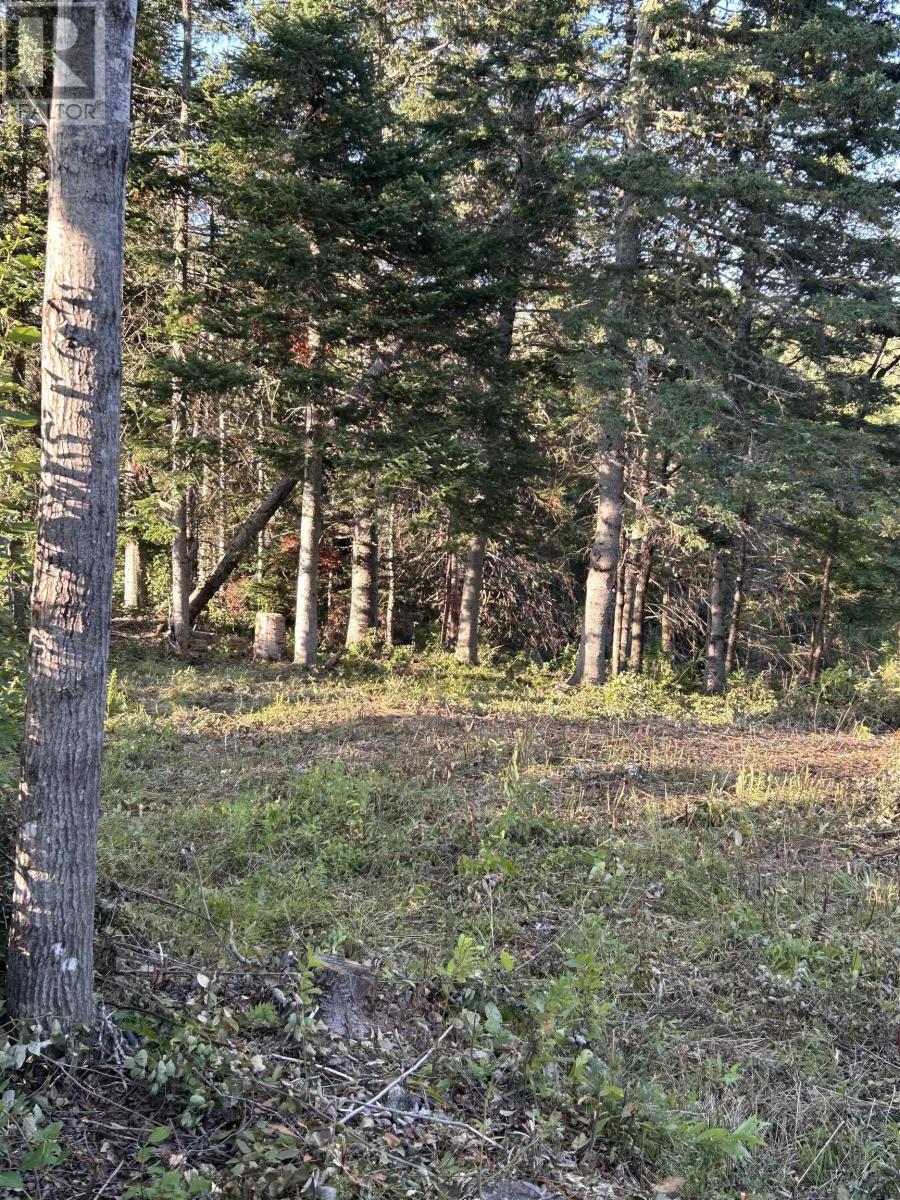 Ripley Road, Williamsdale, Nova Scotia  B0M 1E0 - Photo 2 - 202502056