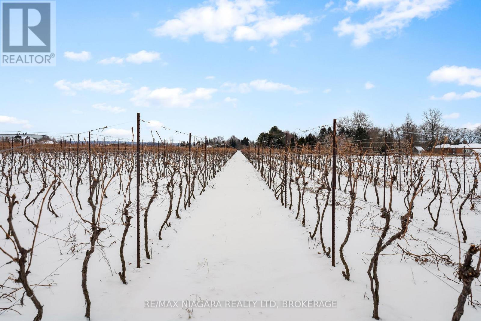 1074 Niagara Stone Road, Niagara-On-The-Lake (Lakeshore), Ontario  L0S 1J0 - Photo 11 - X11949919