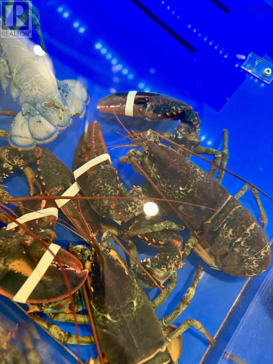 Lorem Ipsum Dolo, Clark's Harbour, Nova Scotia  B0W  - Photo 23 - DEMO27863713