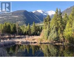 DL 882 5 HIGHWAY, valemount, British Columbia