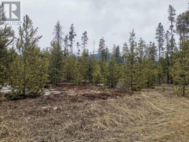 995 S CRANBERRY LAKE ROAD, Valemount, British Columbia