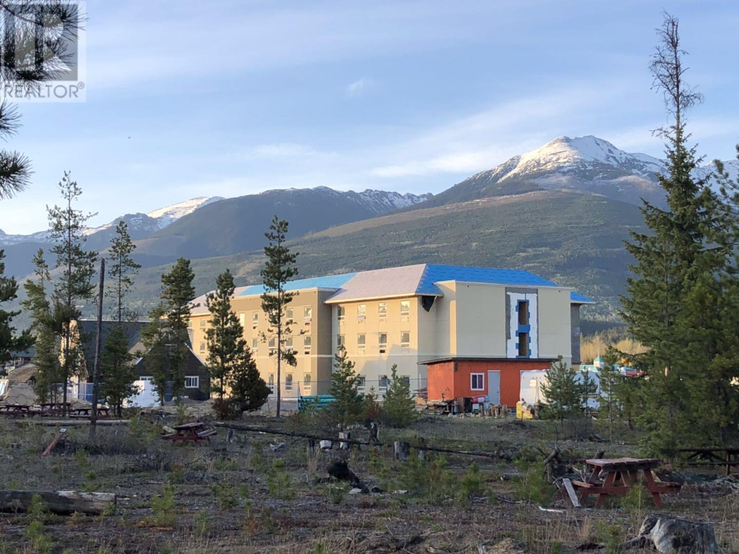995 S Cranberry Lake Road, Valemount, British Columbia  V0E 2Z0 - Photo 4 - C8066261
