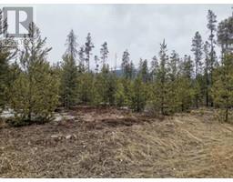 995 S CRANBERRY LAKE ROAD, valemount, British Columbia