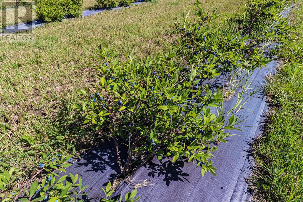 705068 Rge Rd 82, Wembley, Alberta  T8W 5B5 - Photo 11 - A2184772