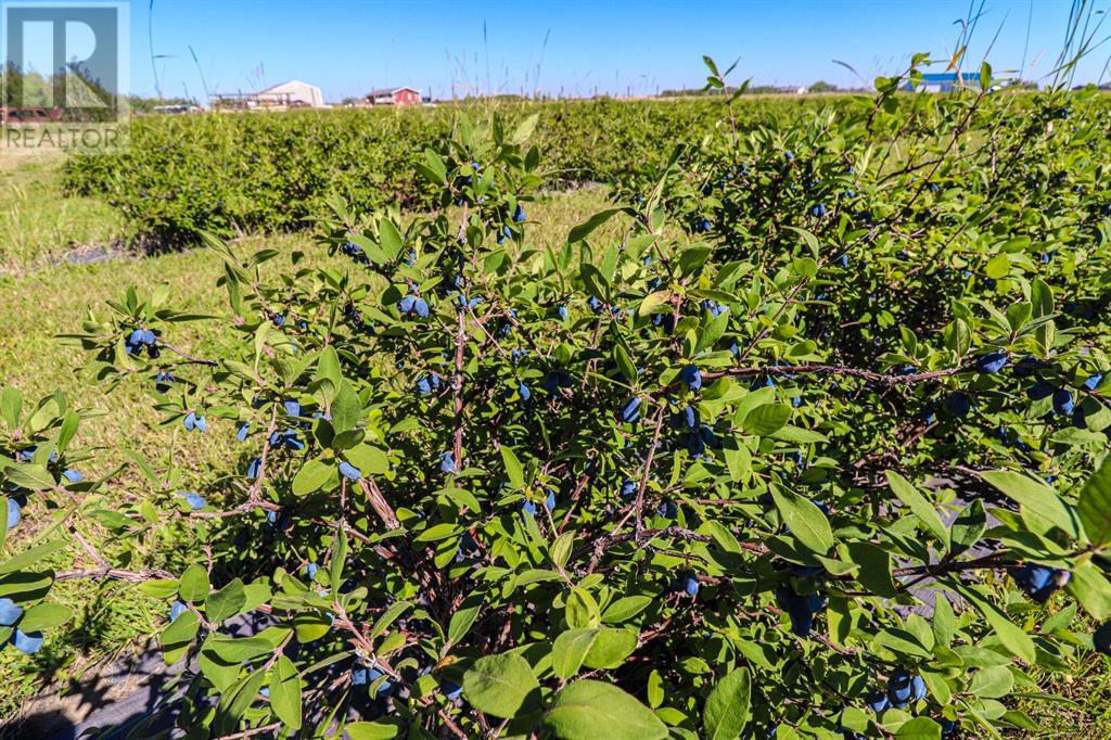 705068 Rge Rd 82, Wembley, Alberta  T8W 5B5 - Photo 27 - A2184772