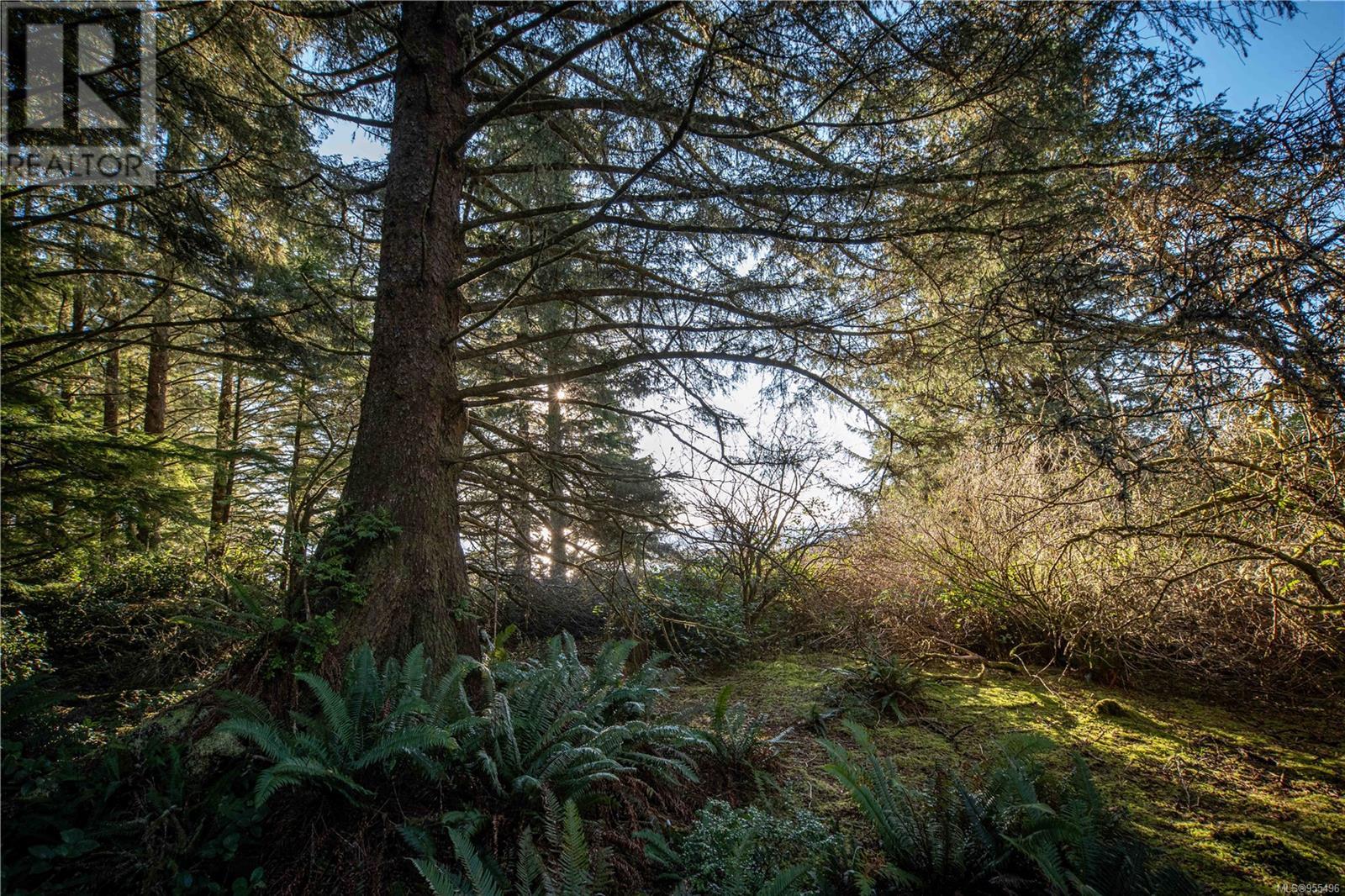 0 Francis Island, Ucluelet, British Columbia  V0R 3A0 - Photo 41 - 955496