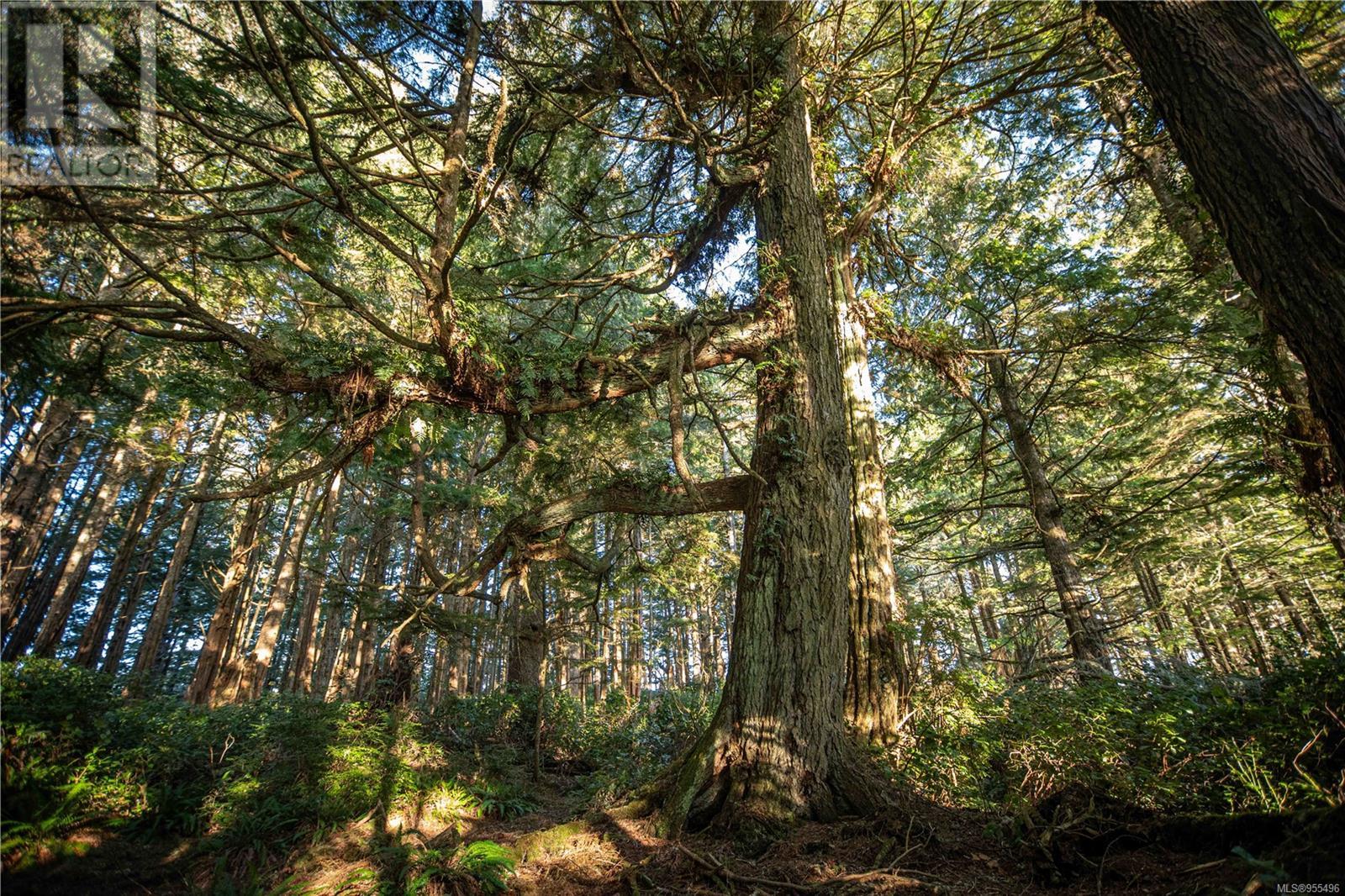 0 Francis Island, ucluelet, British Columbia