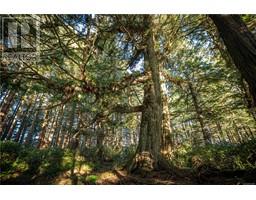 0 Francis Island, ucluelet, British Columbia