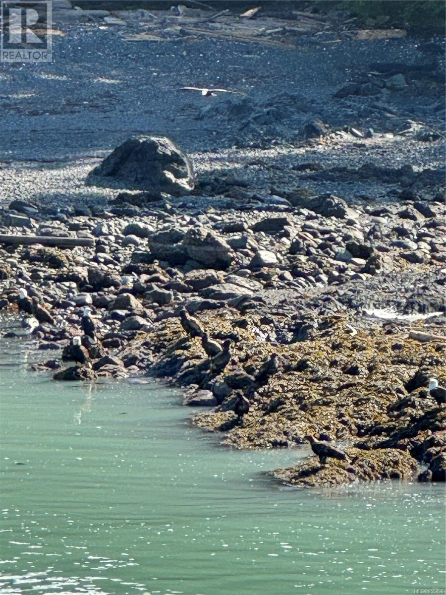 0 Francis Island, Ucluelet, British Columbia  V0R 3A0 - Photo 26 - 955496