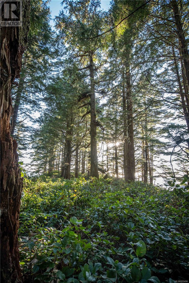 0 Francis Island, Ucluelet, British Columbia  V0R 3A0 - Photo 40 - 955496