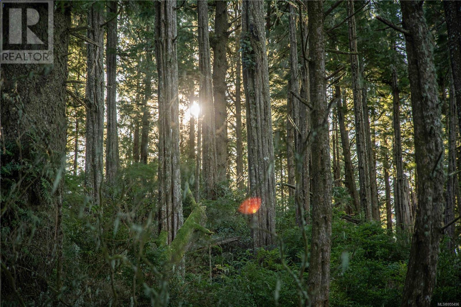0 Francis Island, Ucluelet, British Columbia  V0R 3A0 - Photo 29 - 955496