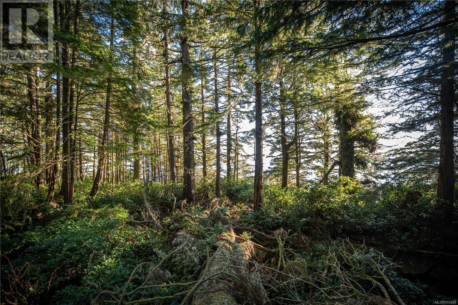 0 Francis Island, Ucluelet, British Columbia  V0R 3A0 - Photo 37 - 955496
