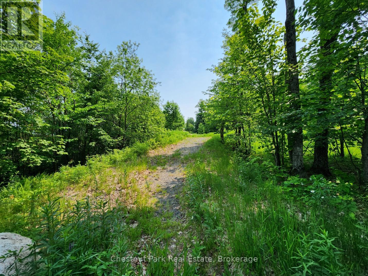 19 Old Hemlock Trail, Huntsville (Brunel), Ontario  P1H 0A7 - Photo 5 - X11950837