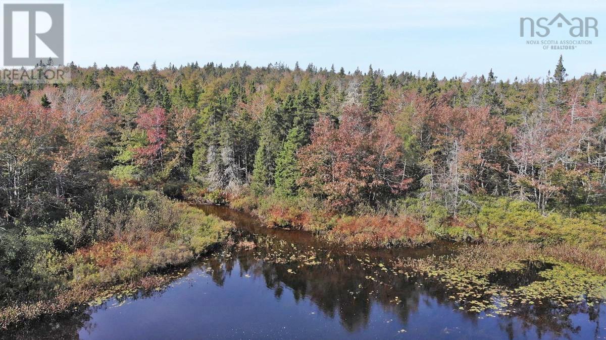 Property at 206 Highway image 3