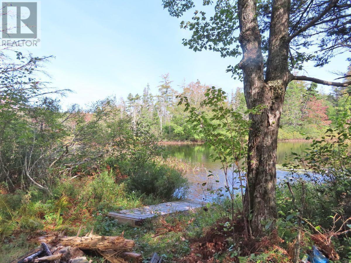 Property at 206 Highway image 4