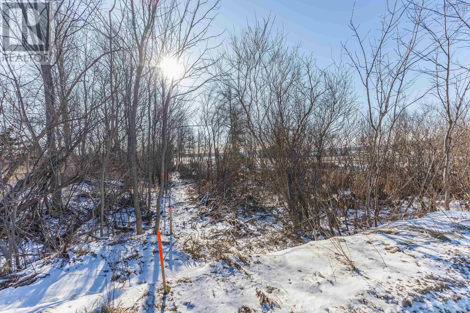 Lot 24-2 376 Highway, Lyons Brook, Nova Scotia  B0K 1H0 - Photo 10 - 202502118