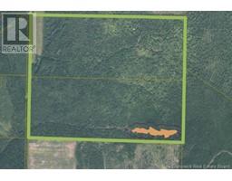 200 Acres Walker Road, South Tilley, New Brunswick