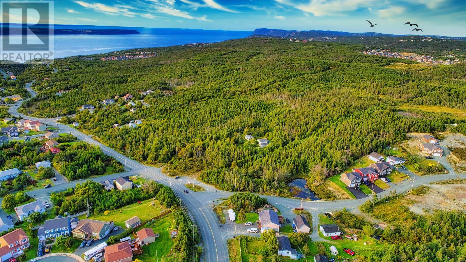 378 St. Thomas Line, Paradise, Newfoundland & Labrador  A1L 3K9 - Photo 2 - 1254527