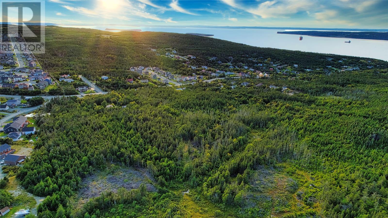 378 St. Thomas Line, Paradise, Newfoundland & Labrador  A1L 3K9 - Photo 4 - 1254527