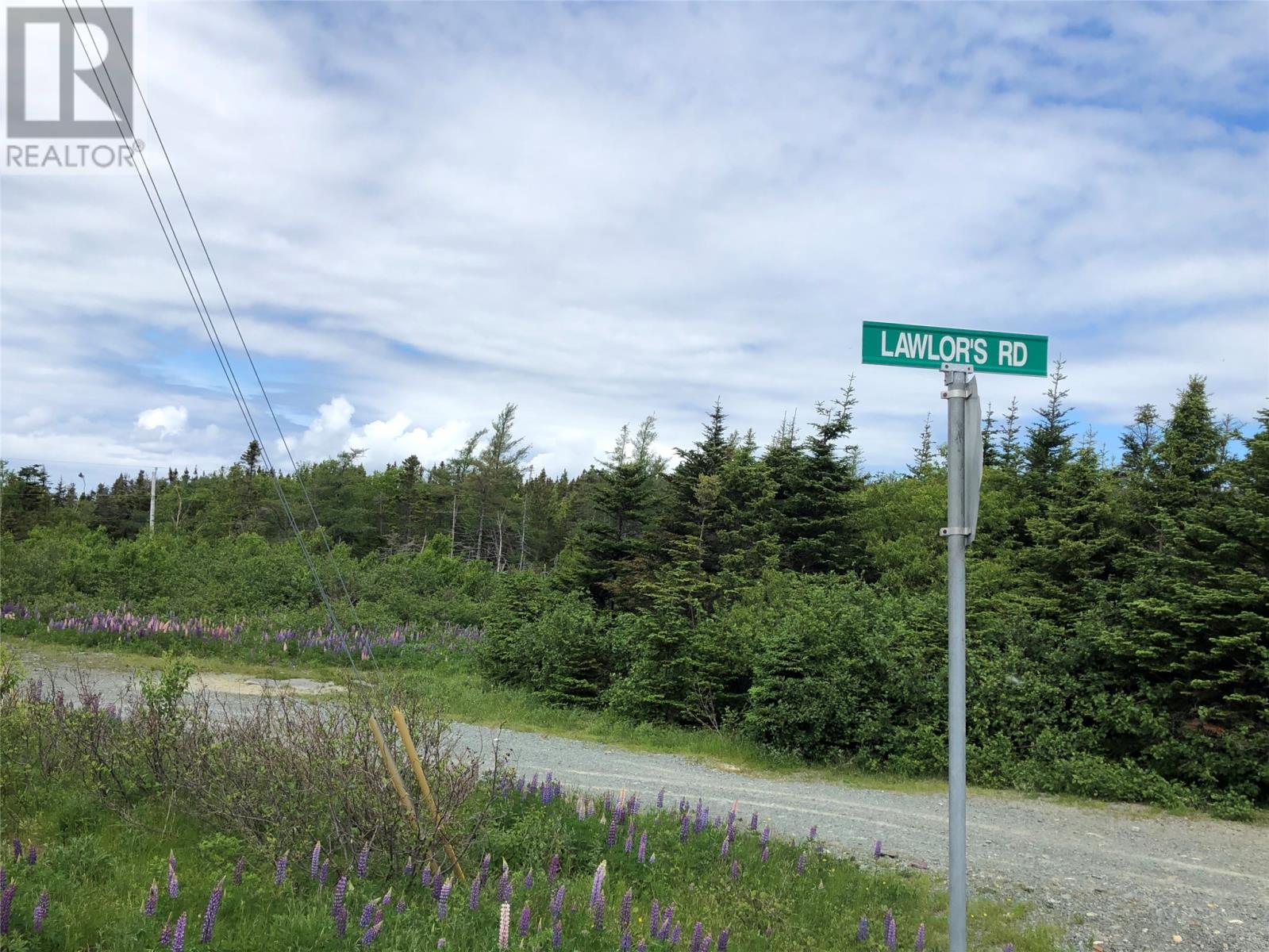 378 St. Thomas Line, Paradise, Newfoundland & Labrador  A1L 3K9 - Photo 7 - 1254527