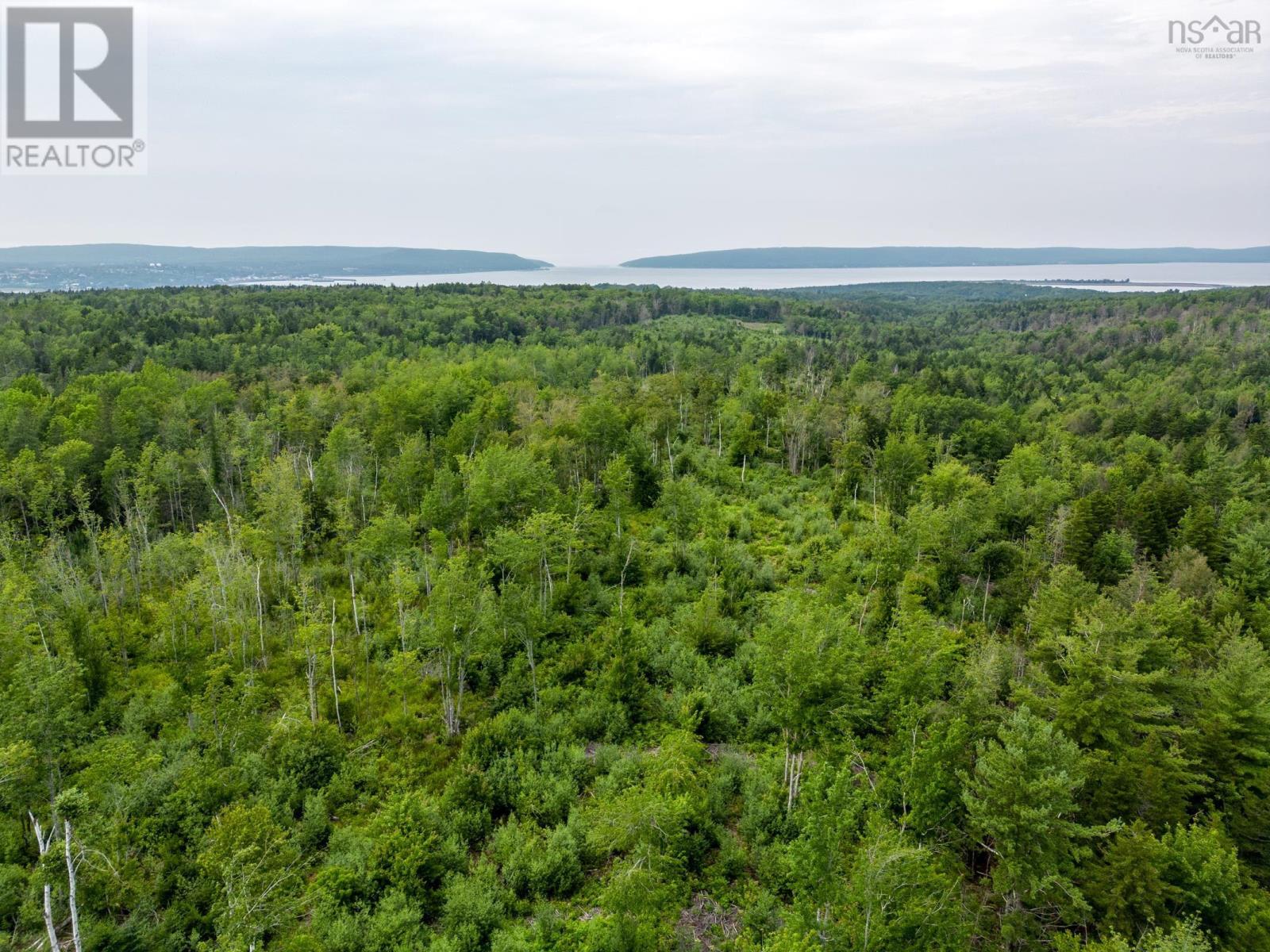 Lot 3 Back Road, Lansdowne, Nova Scotia  B0V 1A0 - Photo 7 - 202502158