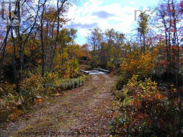 East Port Le Hebert Street, East Port L'hebert, Nova Scotia  B0T 1S0 - Photo 6 - 202502162
