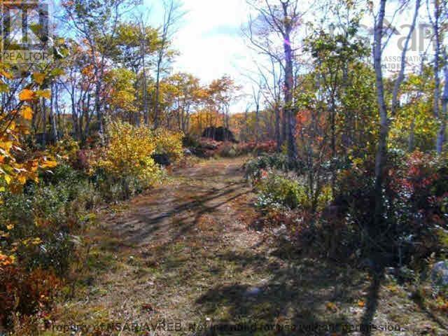 East Port Le Hebert Street, East Port L'hebert, Nova Scotia  B0T 1S0 - Photo 7 - 202502162