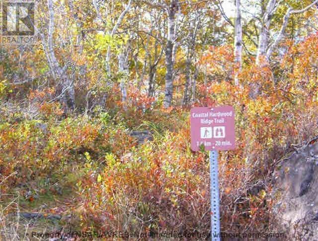 East Port Le Hebert Street, East Port L'hebert, Nova Scotia  B0T 1S0 - Photo 8 - 202502162
