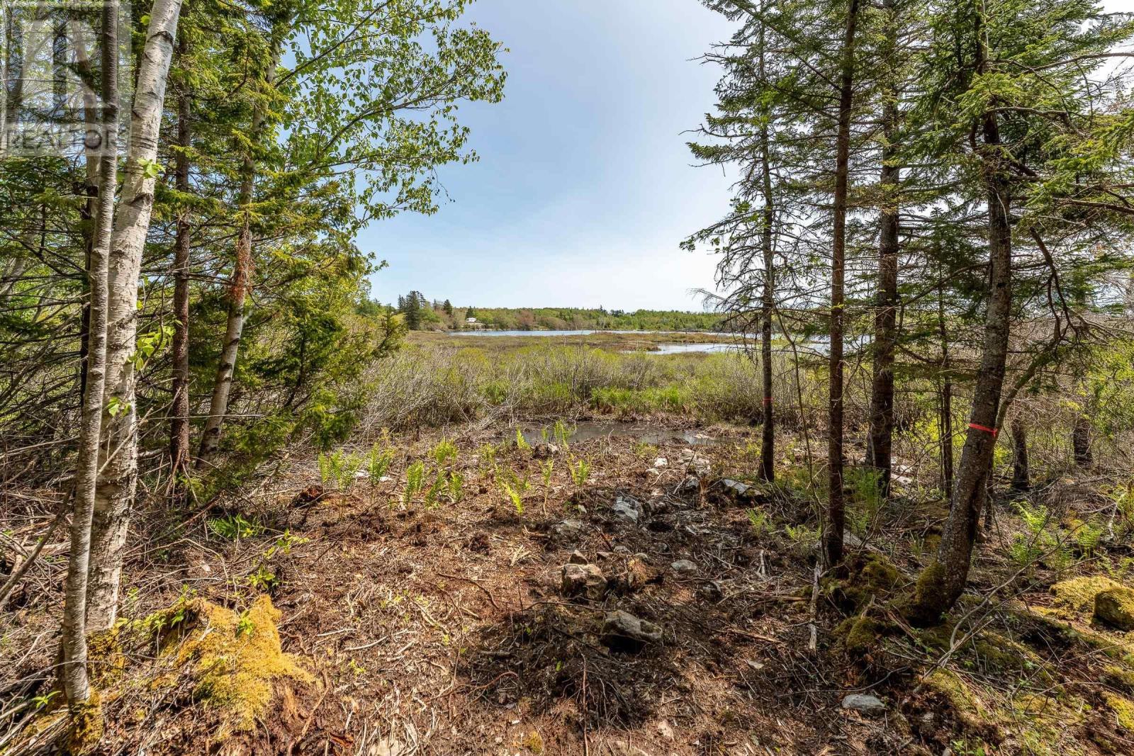 1012 Richmond Road, Ireton, Nova Scotia  B5A 5L5 - Photo 15 - 202502174