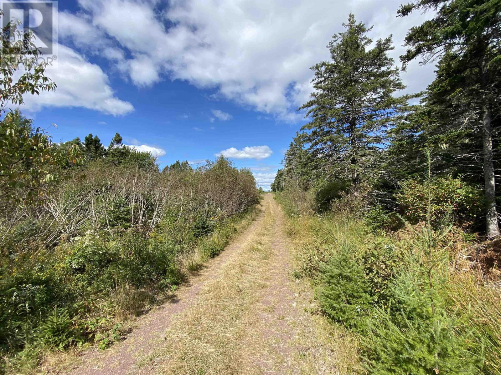 Lot Highway 320, D'escousse, Nova Scotia  B0E 1K0 - Photo 11 - 202502182