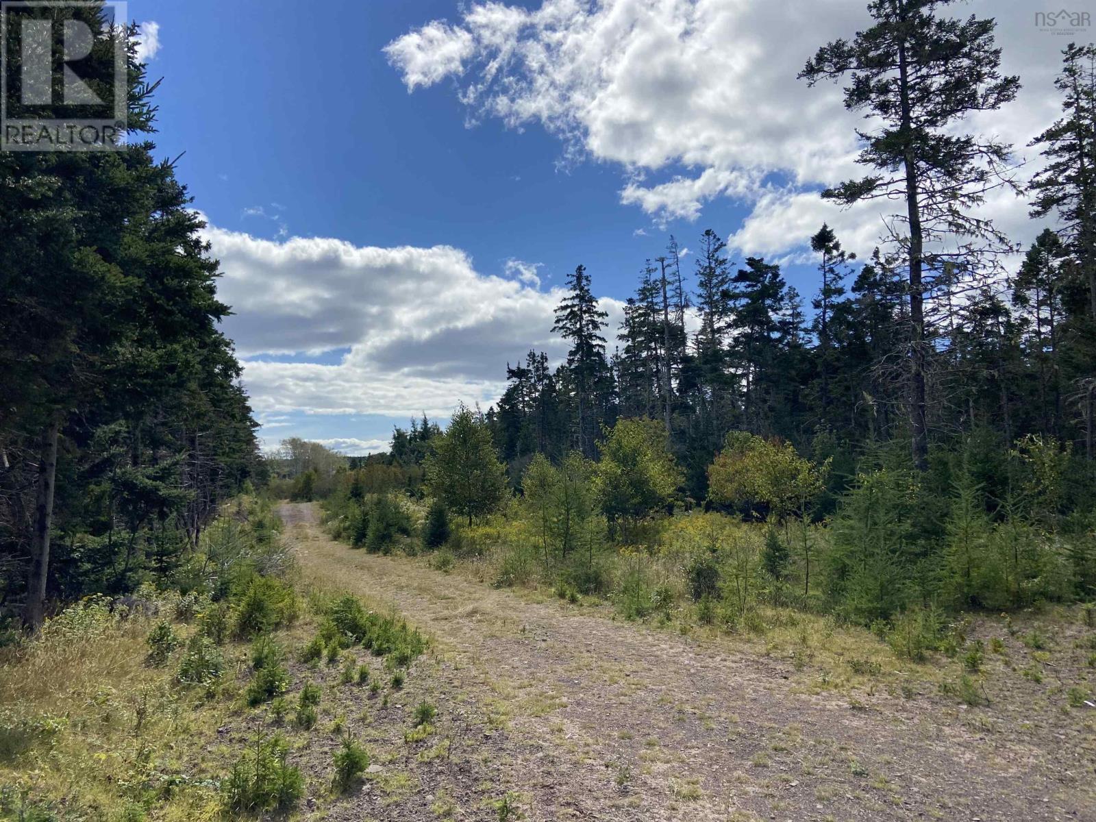 Lot Highway 320, D'escousse, Nova Scotia  B0E 1K0 - Photo 12 - 202502182