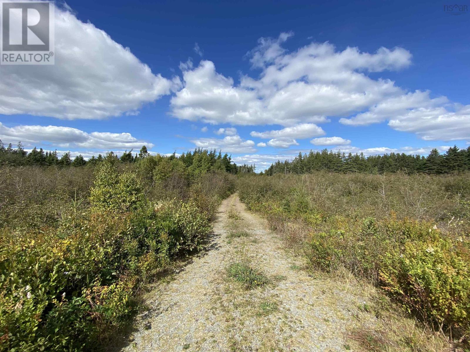 Lot Highway 320, D'escousse, Nova Scotia  B0E 1K0 - Photo 7 - 202502182