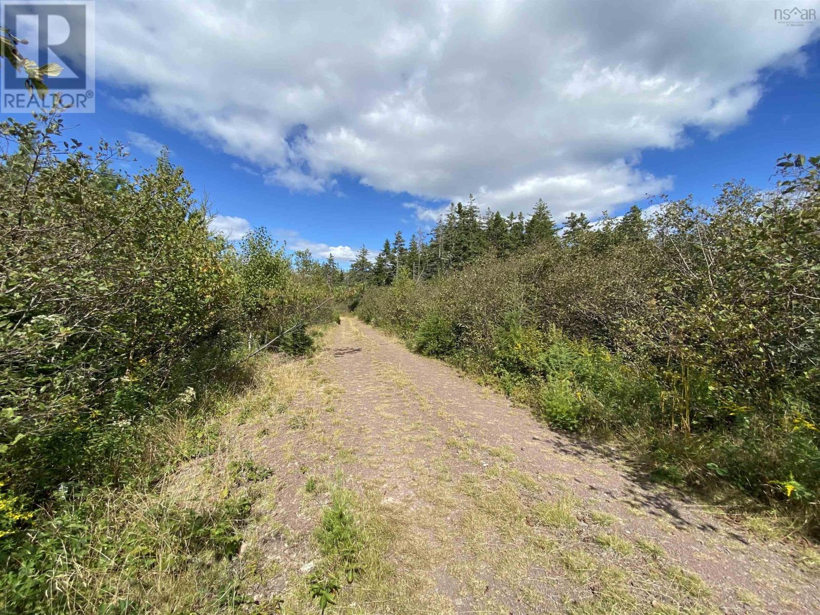 Lot Highway 320, D'escousse, Nova Scotia  B0E 1K0 - Photo 8 - 202502182