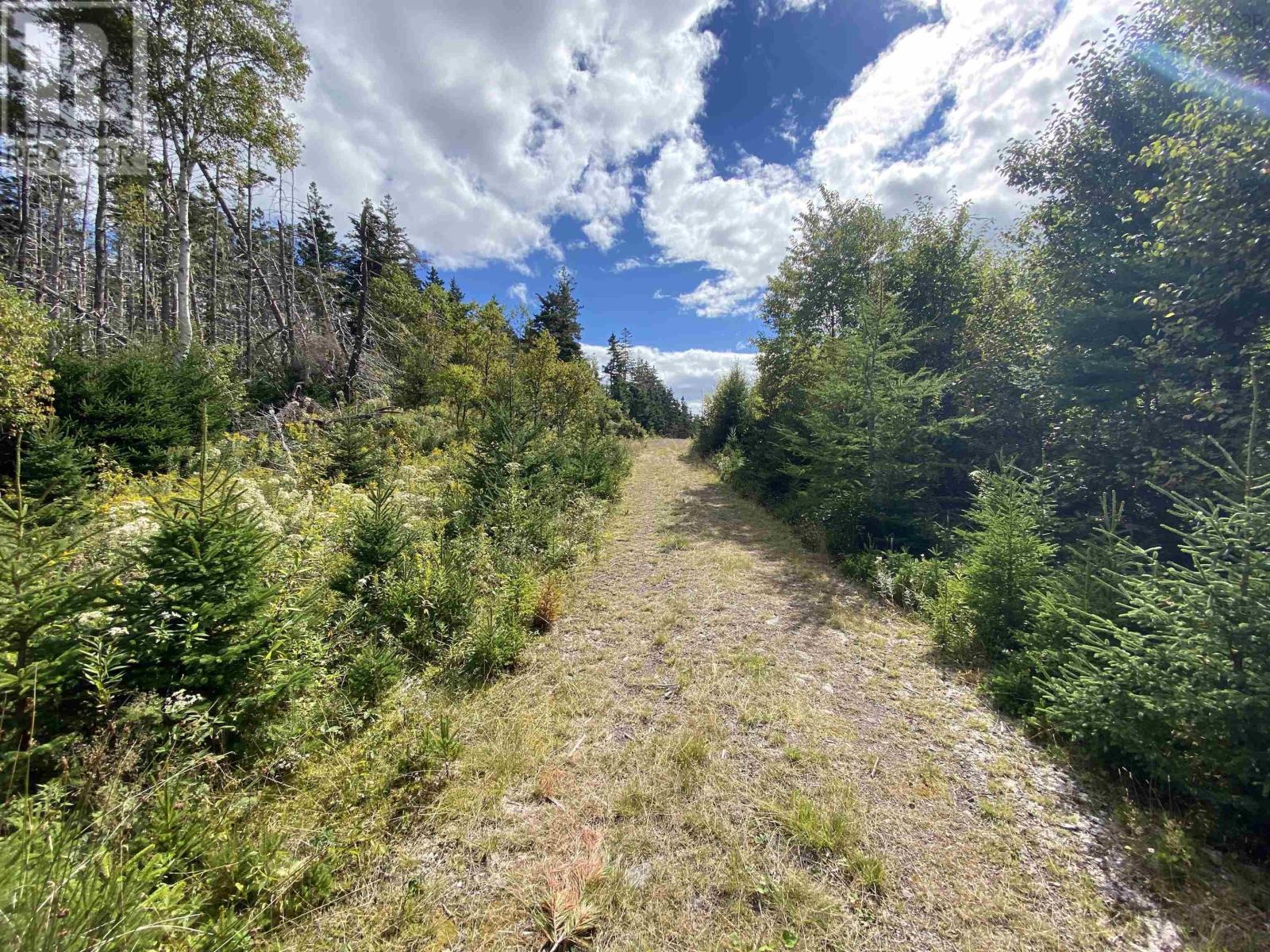 Lot Highway 320, D'escousse, Nova Scotia  B0E 1K0 - Photo 9 - 202502182