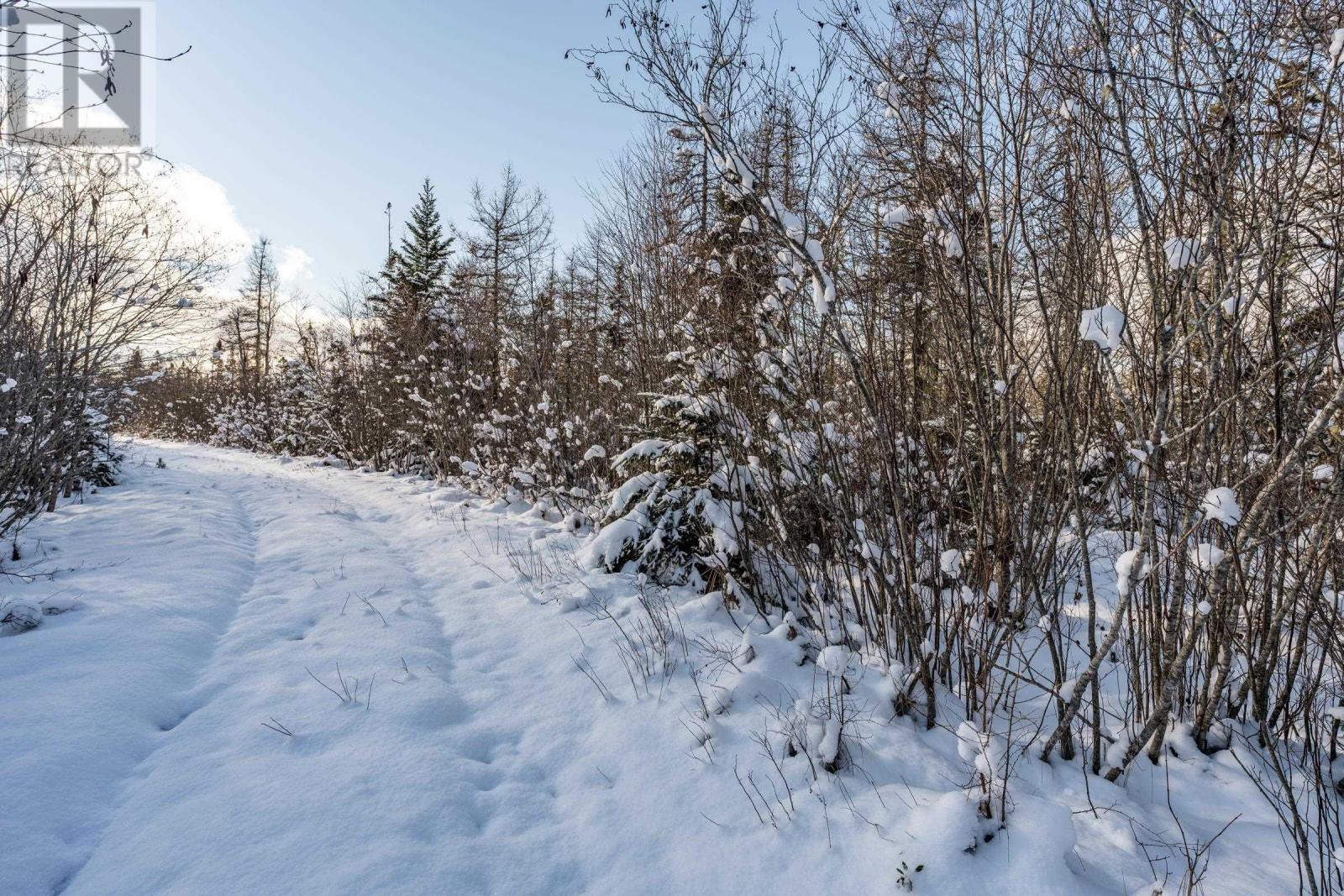 Lot 73 Cranberry Lake Road, Kemptville, Nova Scotia  B5A 5P3 - Photo 8 - 202502187