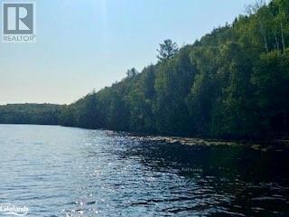 Lot11-B Little Long, Parry Sound Remote Area, Ontario  P0H 1S0 - Photo 8 - X10897547