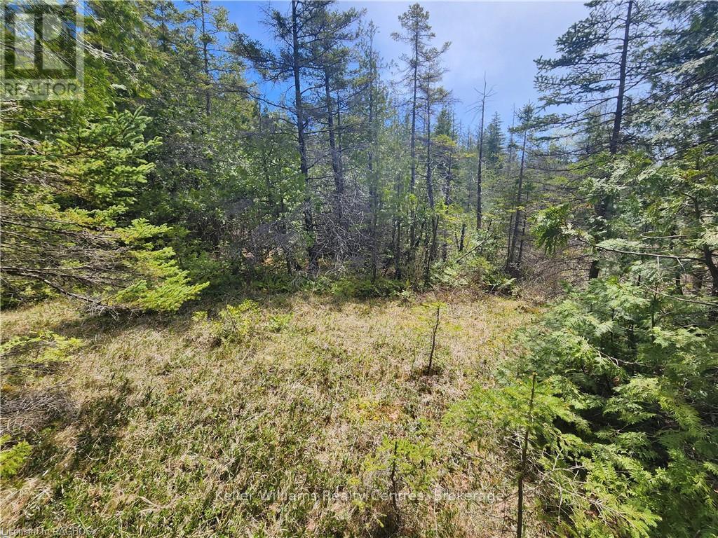 1061 Sunset Drive, South Bruce Peninsula, Ontario  N0H 2T0 - Photo 16 - X11950526