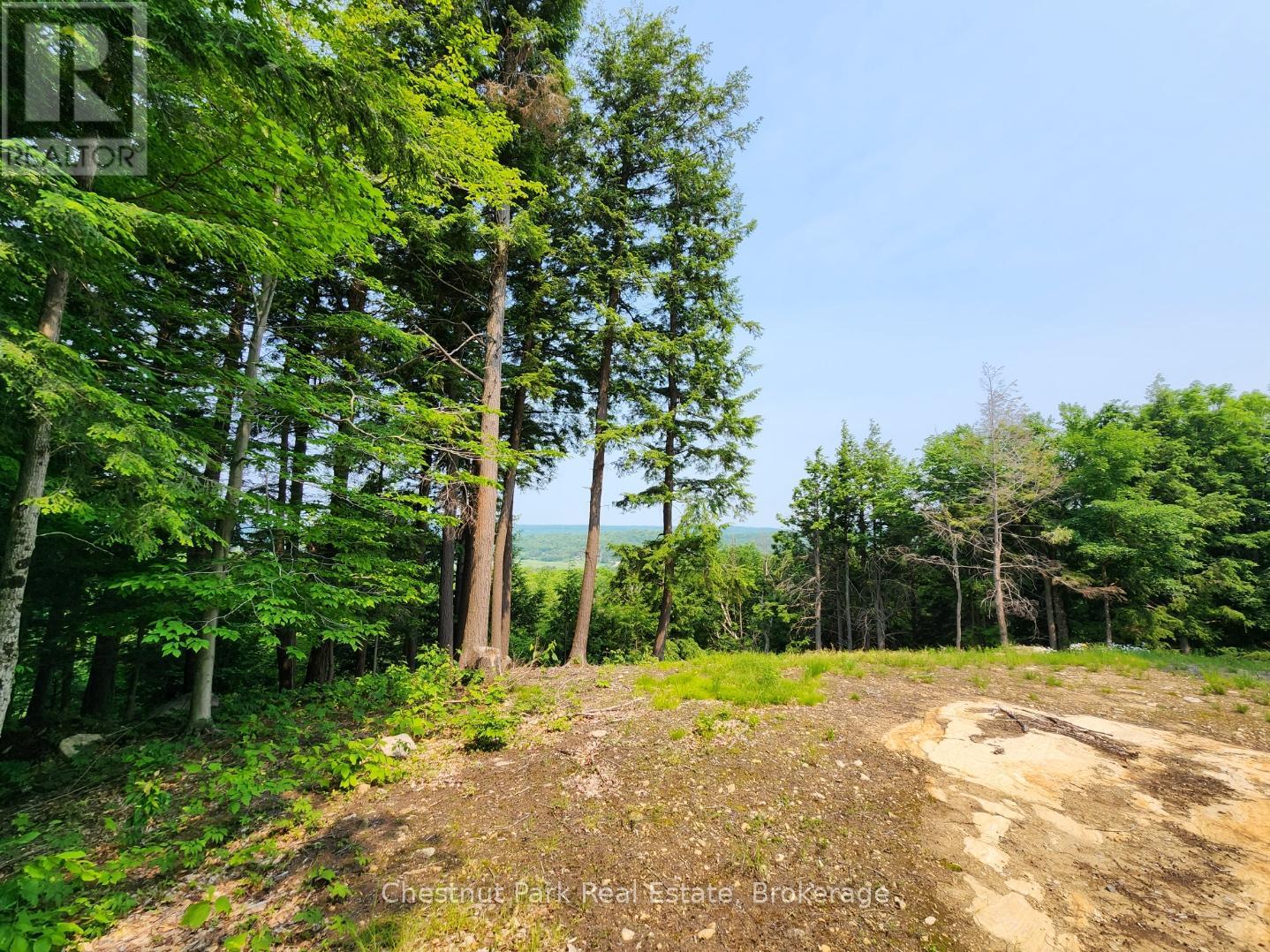 19 Old Hemlock Trail, Huntsville, Ontario  P1H 0A7 - Photo 11 - X11950837