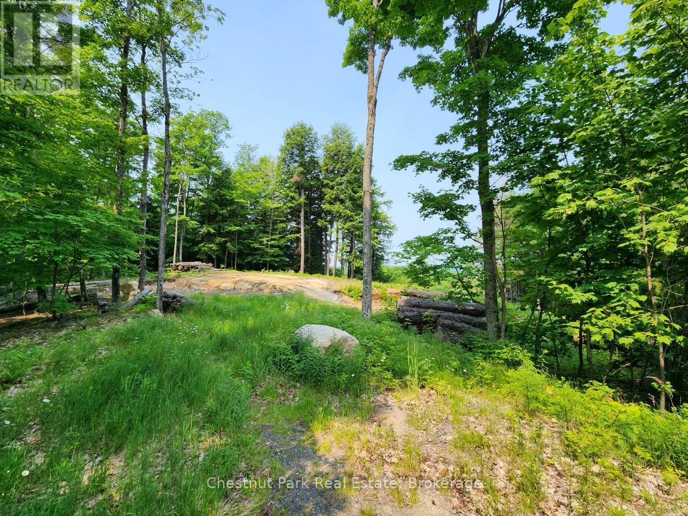 19 Old Hemlock Trail, Huntsville, Ontario  P1H 0A7 - Photo 18 - X11950837