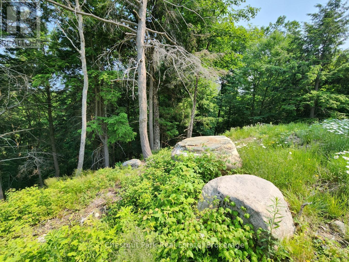 19 Old Hemlock Trail, Huntsville, Ontario  P1H 0A7 - Photo 23 - X11950837