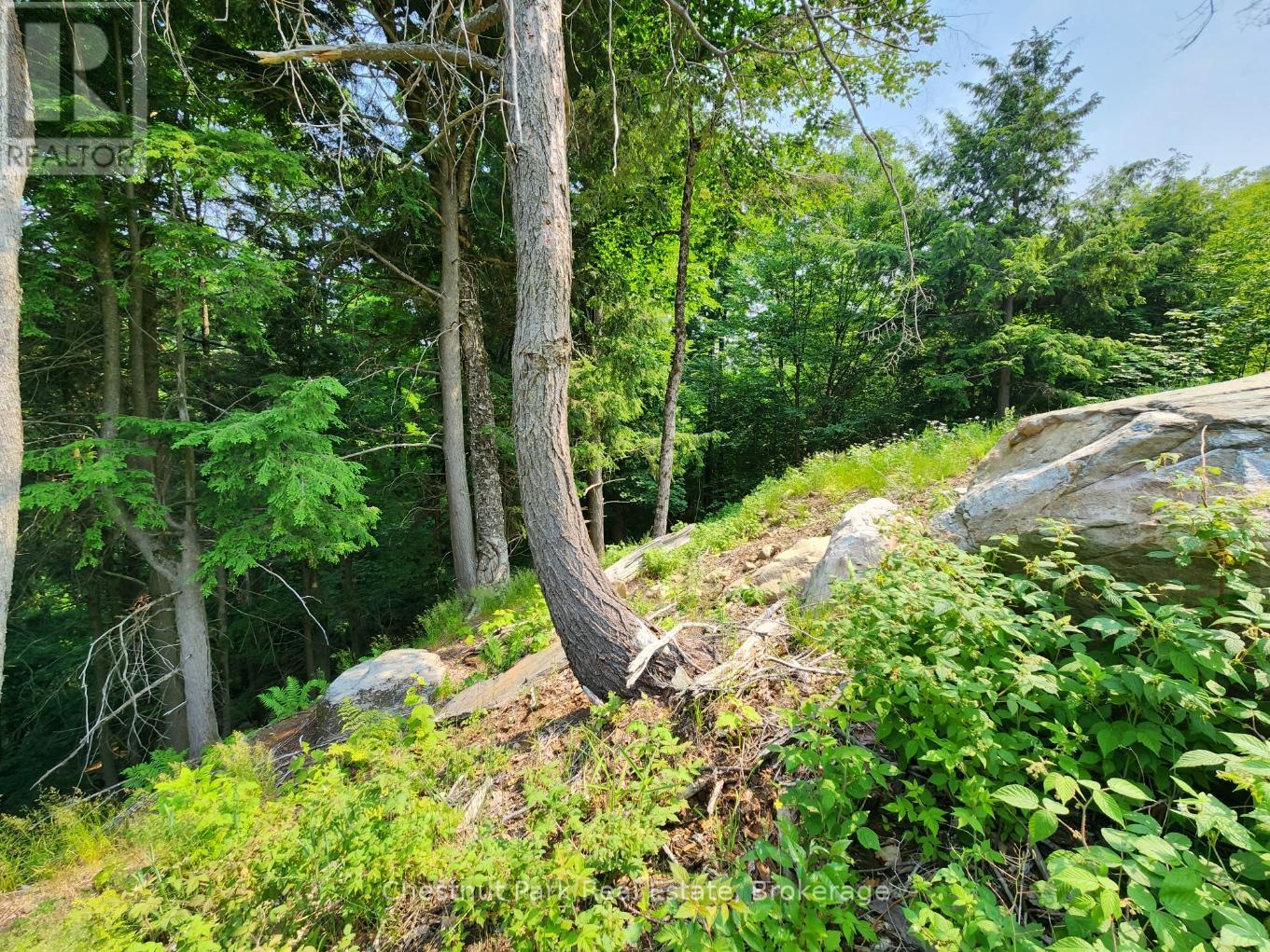19 Old Hemlock Trail, Huntsville, Ontario  P1H 0A7 - Photo 24 - X11950837