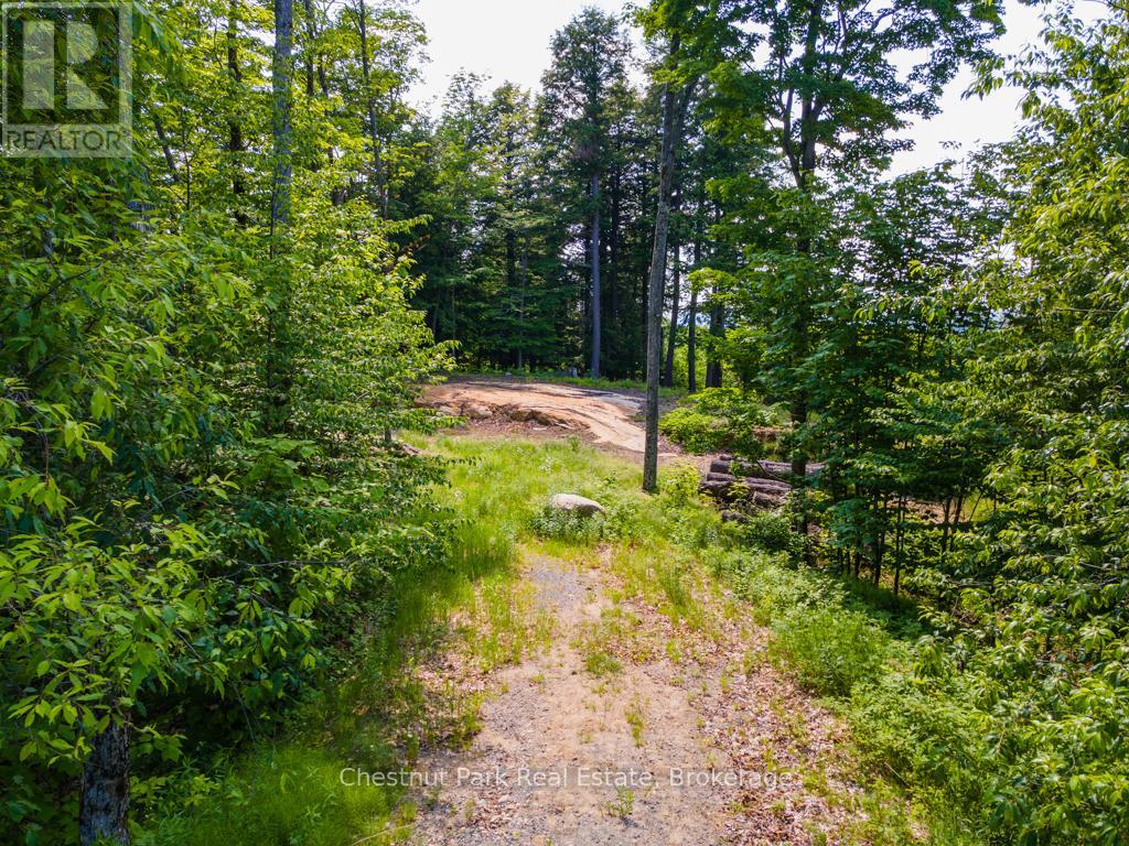 19 Old Hemlock Trail, Huntsville, Ontario  P1H 0A7 - Photo 4 - X11950837