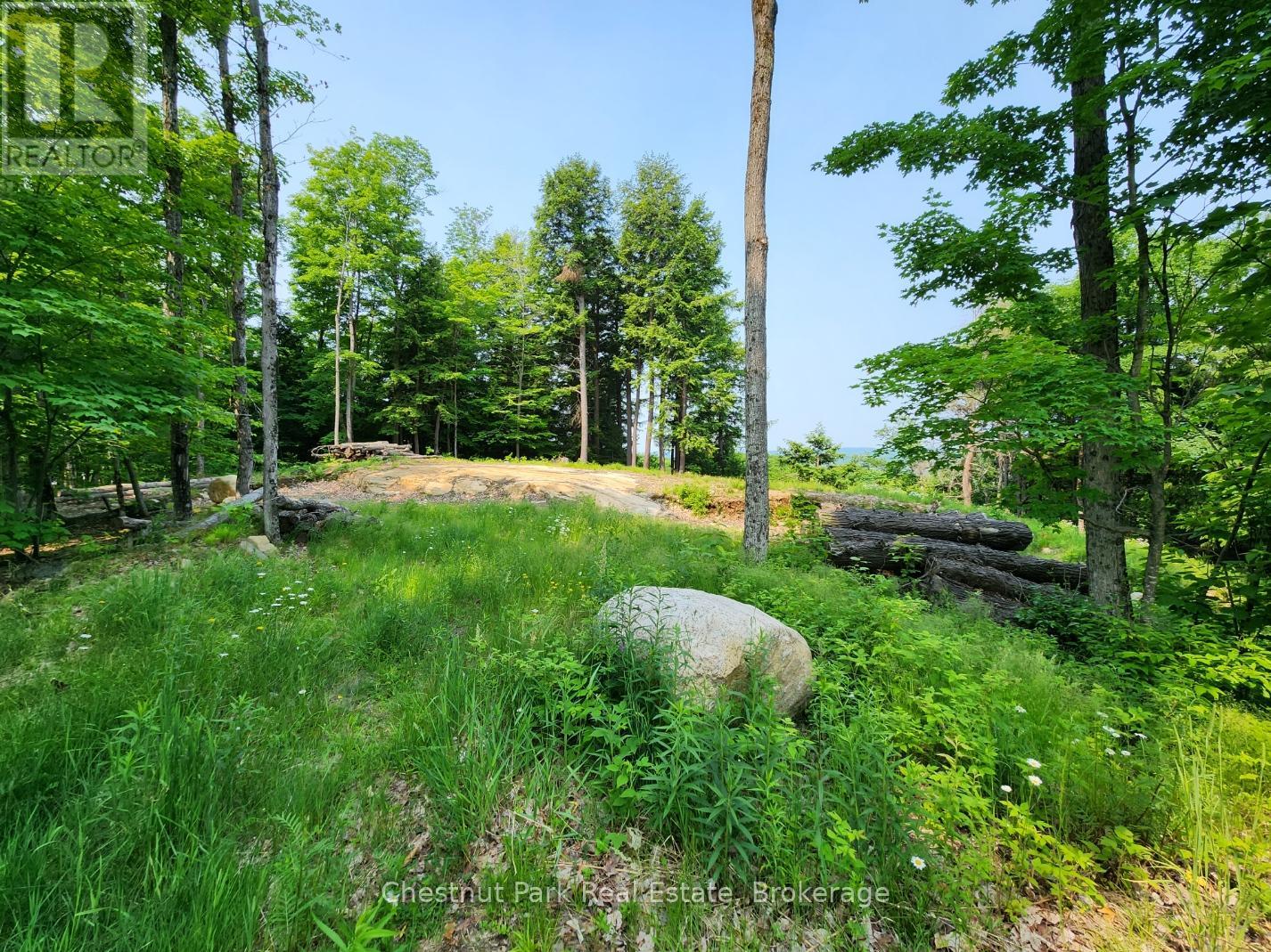 19 Old Hemlock Trail, Huntsville, Ontario  P1H 0A7 - Photo 6 - X11950837