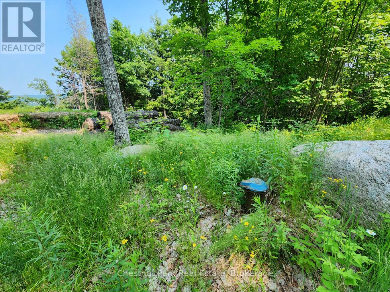 19 Old Hemlock Trail, Huntsville, Ontario  P1H 0A7 - Photo 8 - X11950837