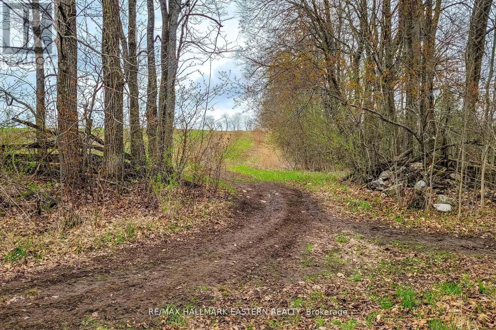 1737 Thirteenth Line, Smith-Ennismore-Lakefield, Ontario K0L 2H0 - Photo 20 - X11950960