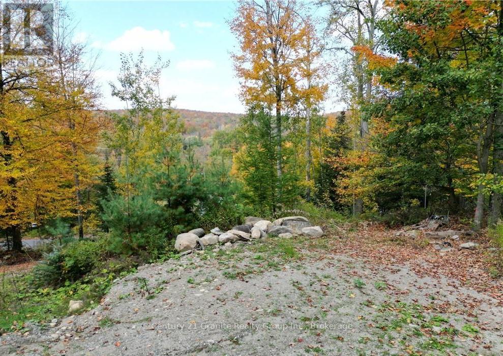 1019 Bushwolf Lake Road, Dysart Et Al, Ontario  K0M 1S0 - Photo 11 - X11953026
