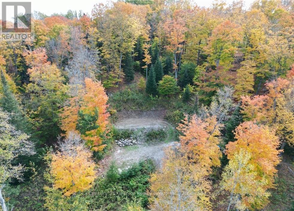 1019 Bushwolf Lake Road, Dysart Et Al, Ontario  K0M 1S0 - Photo 12 - X11953026